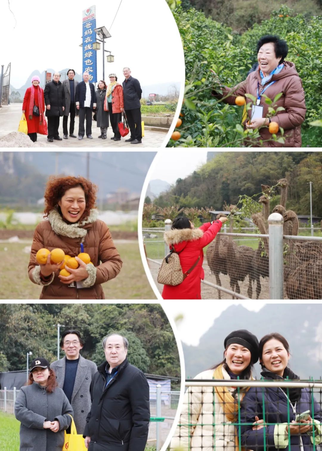 1721974326171653.jpg 開心農(nóng)場.jpg