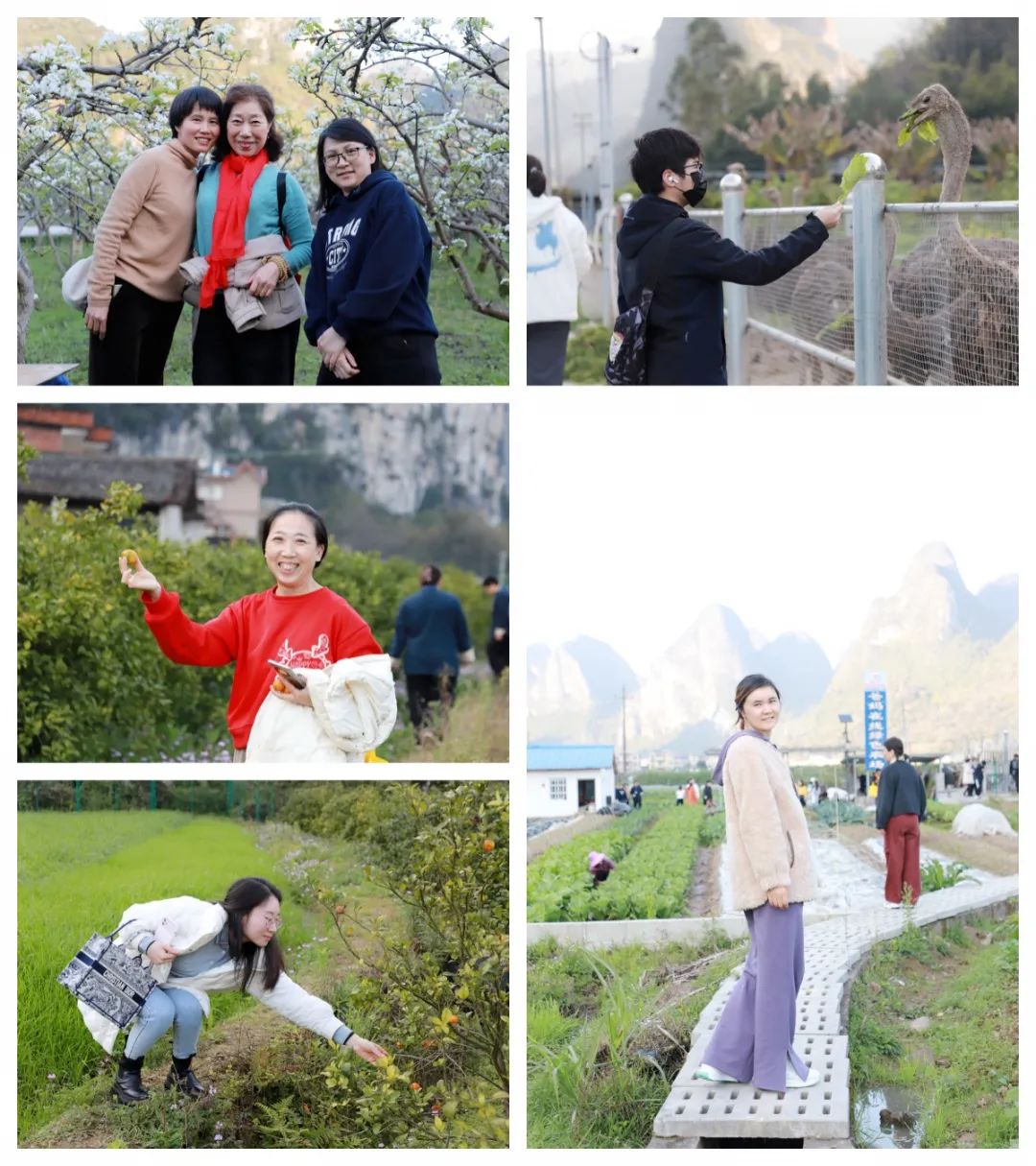 五天覺醒之旅,開啟幸福人生新篇章——第76期“生命覺醒 健康幸福”培訓圓滿結束