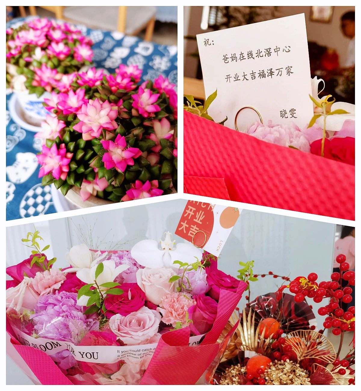 1729240003786442.jpg 1729240003786442.jpg